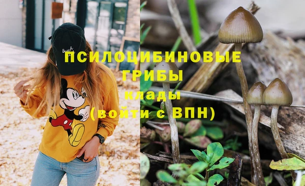 MDMA Арсеньев