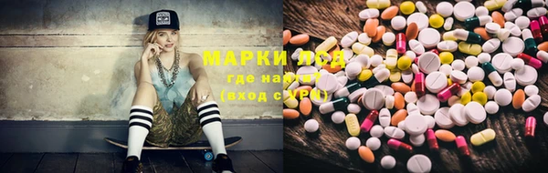ГАЛЛЮЦИНОГЕННЫЕ ГРИБЫ Ростов