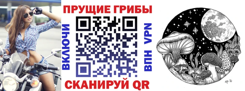 Псилоцибиновые грибы мухоморы Нижняя Салда